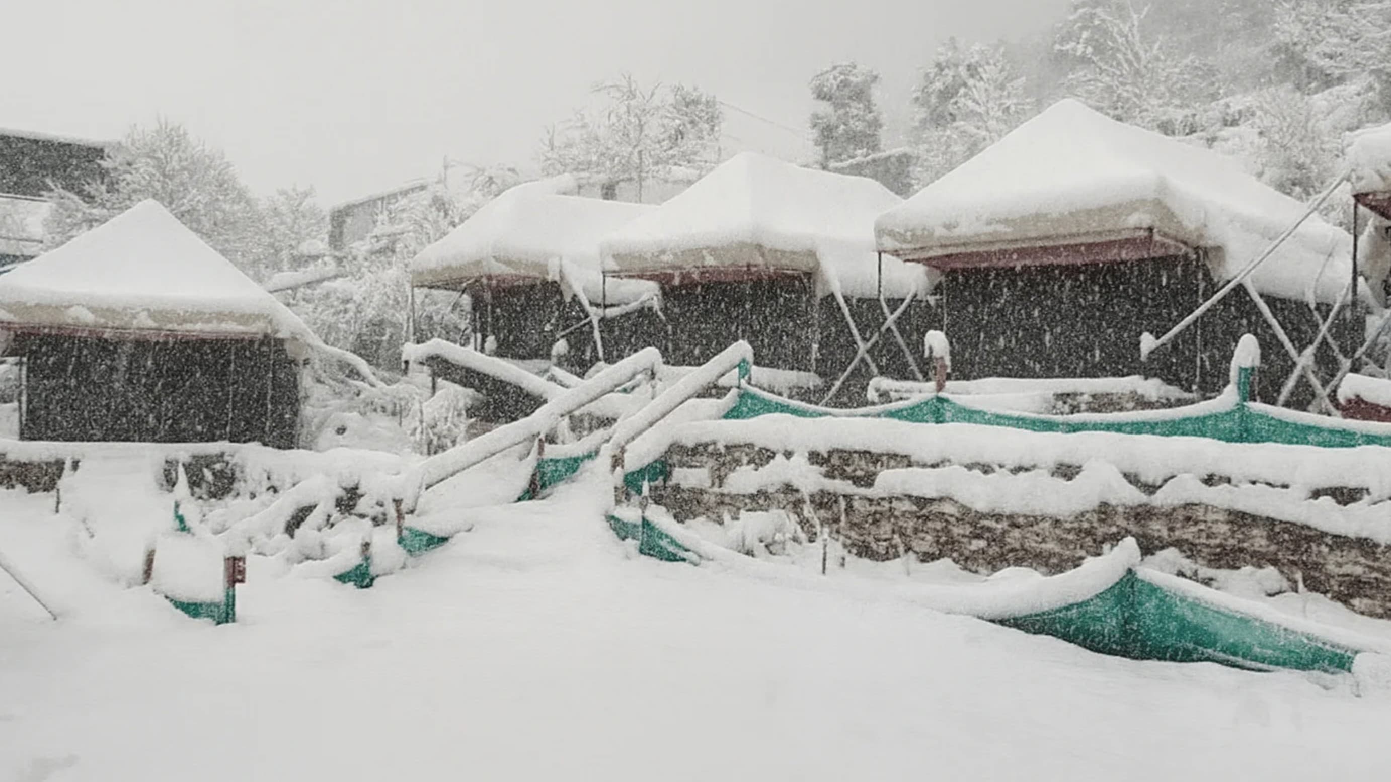 Mount Rock Stay Swiss Camp, Auli 4