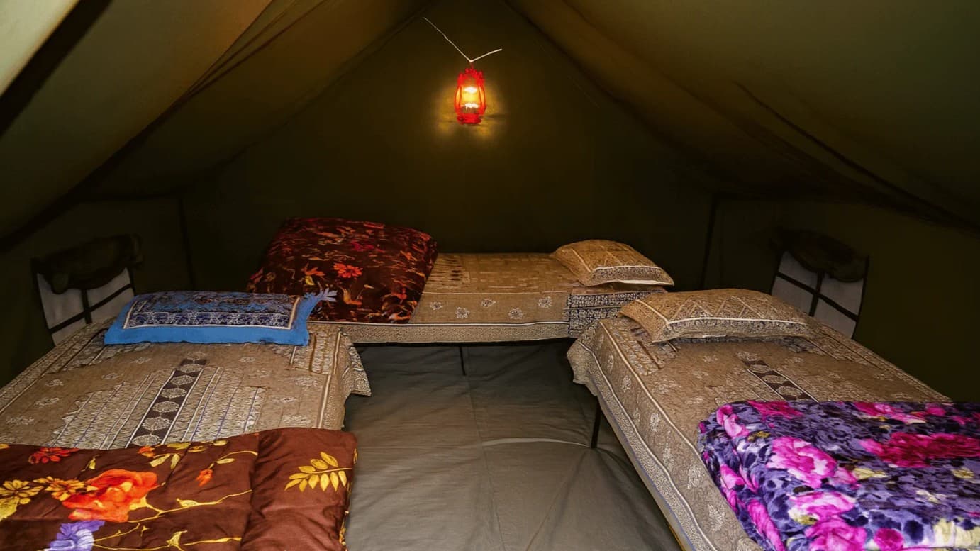 Camp Roller Coaster, Rishikesh 5