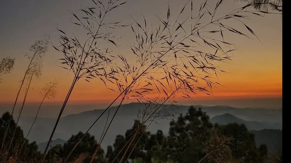 Camp Advait, Dugadda 5