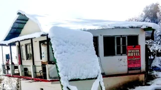 The Birds Cafe, Chopta