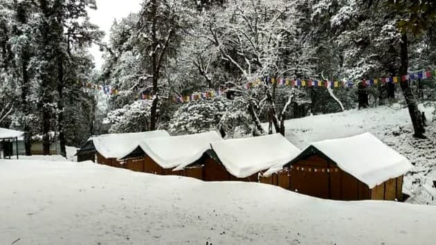 Flycatcher Jungle Camp, Chopta