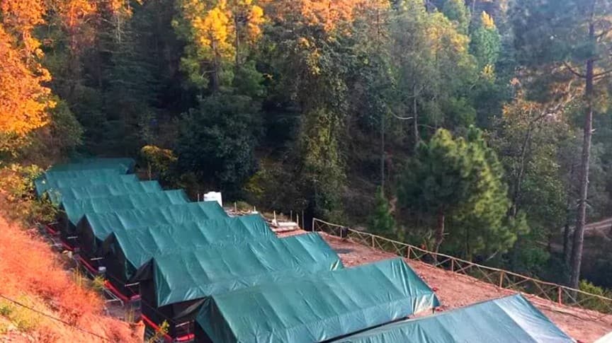 Jungle Stays, Shimla