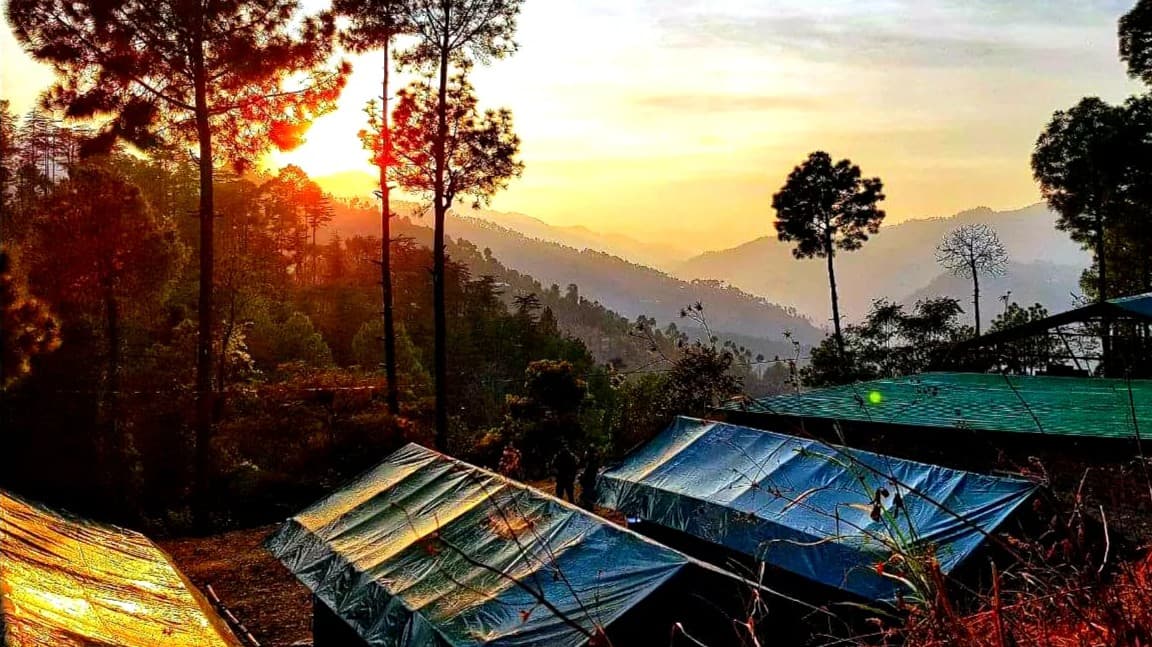 Jungle Stays, Shimla 5