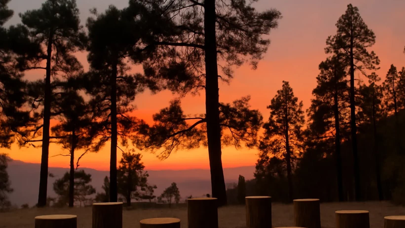 Kaaphal Hill Homestay, Chaukori