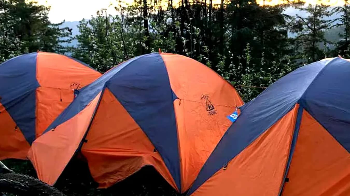 Beyond The Trails, kufri