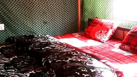 Sir Jungle Creek Camps, Shanghar