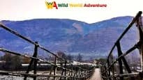 Wild World Adventure