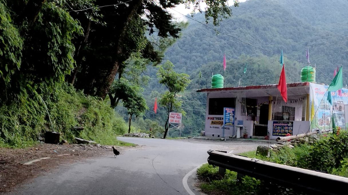 Hotel Pine Tree, Mastura