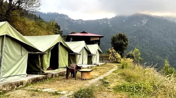 PineHills Nature Camp, Mashobra